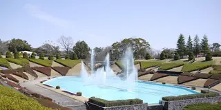 花咲かタイムズ【静岡・浜松】