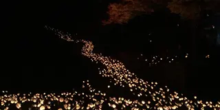 【18県目】大分の2泊3日(初投稿)