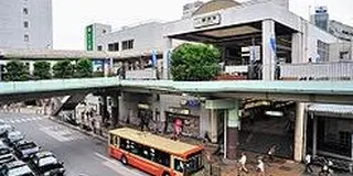 湘南サイクリング