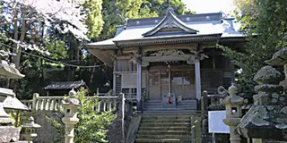 のんびりノビノビ　　しずおか元気旅