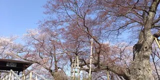 平安〜幕末まで、歴史ある田園地域神指町(これでも会津若松市です。）