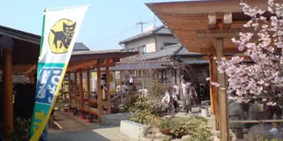 日帰り京都からさぬきの旅🐥
