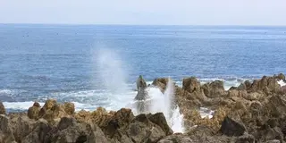 【気仙沼】観光パンフレットでは紹介されない気仙沼を巡る(入門編)