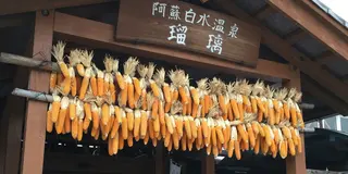 【阿蘇時間⑨南阿蘇〜白川〜熊本市内】