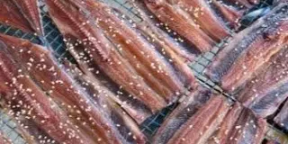 淡路島の南あわじの温泉♨でのんびり、うずしおクルーズ、おみやげは地元の海産物店へ！
