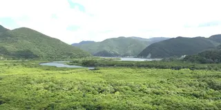 奄美大島の真ん中で自然に浸かる。リピーターの方必見！山に囲まれた住用町でのんびり過ごそう。