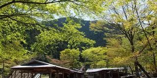 四国とくしま・木頭でブリコラージュ