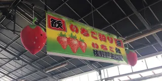 噂のイチゴ狩り〜とちおとめ♡