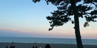 【静岡】地元っ子のおすすめ巡り