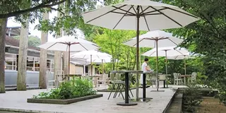 栃木