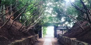 ◯⚫︎鶴見お寺巡り⚫︎◯