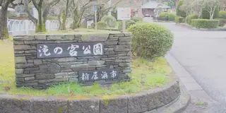 パンを持ってピクニック♡お手軽ピクニックプラン(愛媛県新居浜市 編)