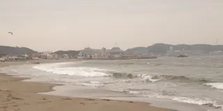 みさきまぐろきっぷで三浦半島を満喫する1日♪
