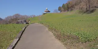 パンを持ってピクニック♡お手軽ピクニックプラン(愛媛県四国中央市 編)