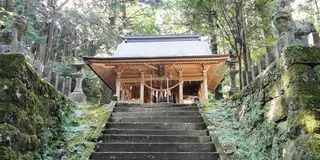 パワーが欲しい。癒しが欲しい。しみじみ巡るおんな一人旅　阿蘇を行く編