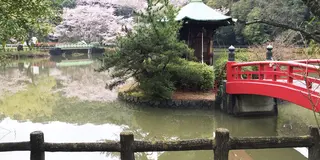 低学年の子供と遊ぶには最高です。定光寺公園