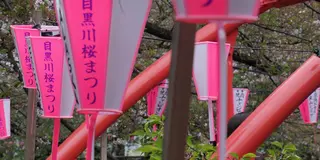 東京ぶらりで満喫しましょう。