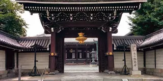 青春18きっぷ お花見日帰り旅行