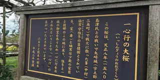 【阿蘇時間19 花はな華ハナ】