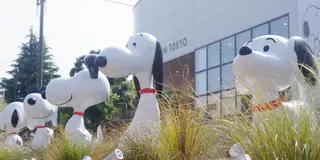 六本木にスヌーピーミュージアム開館！東京スヌーピー巡り