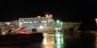 わんこと北海道