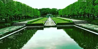 ただ広いだけではない昭和記念公園