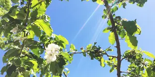 笛吹子ども連れの旅