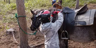 【絶対おすすめ】十勝の森で自分で裸馬を捕まえて仲間になって乗馬をする感動を！