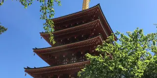 高幡不動で88箇所巡り