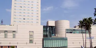 徳島日帰り旅行