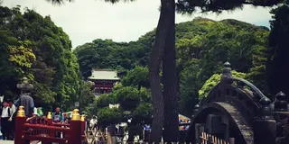 はじめましての鎌倉デート♡