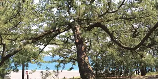 タイムスリップ⁈