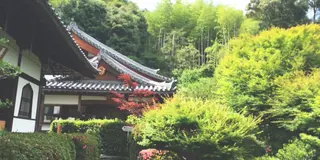 願い事を叶えるんるんるん