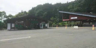 山里に咲く花を愛でながら〜埼玉県飯能市 伊豆ヶ岳