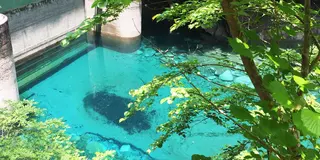 神奈川県にあるユーシンブルーを見に行こう〜御殿場・仙石原ドライブ