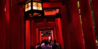 京都に来てから行きたいところを決めた