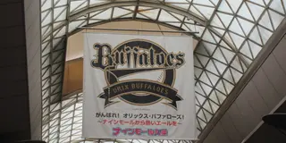 「おりほー！」今年こそ日本一！オリックス・バファローズを応援しよう