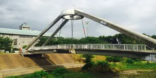 夏は黒目川でBBQ