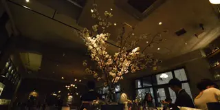 中目黒 カフェ巡り 散歩