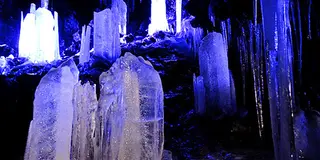 山梨✨