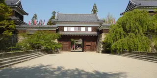【長野県・上田】お城と地元グルメにおしゃれカフェ🍰古本文化も楽しむゆったり1日観光プラン♪