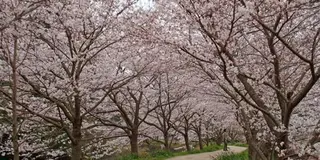 四季を感じることのできる島「対馬」