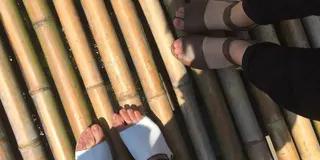 清流ゆらゆら 岐阜自慢の巻🐟🍽💓