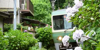 鎌倉ぶらり