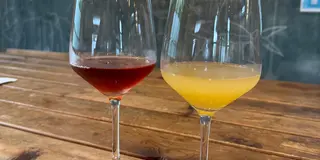🍷おおみしまみんなのワイナリー