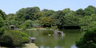 関東民は京都行く前にここ行って！💕【巣鴨〜六義園〜🌳旧古河庭園】を⑤時間でゆるてくプラン🔆🔅🔆