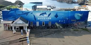 ちょっと福井まで