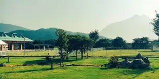 湯布院ワンコ旅