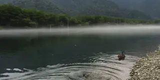 夏の奥飛騨  涼をとる旅