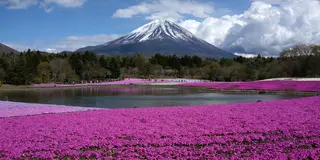 大人遠足部 VOL.5